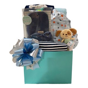 All For Baby Boy Gift Basket